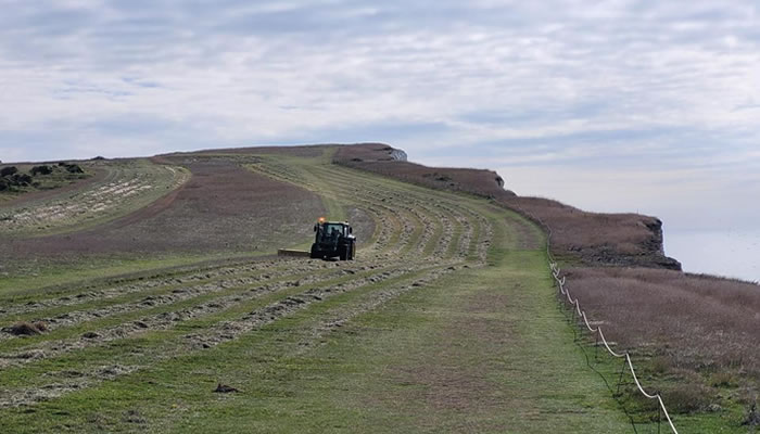 Beachy Head 1